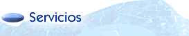 servicios